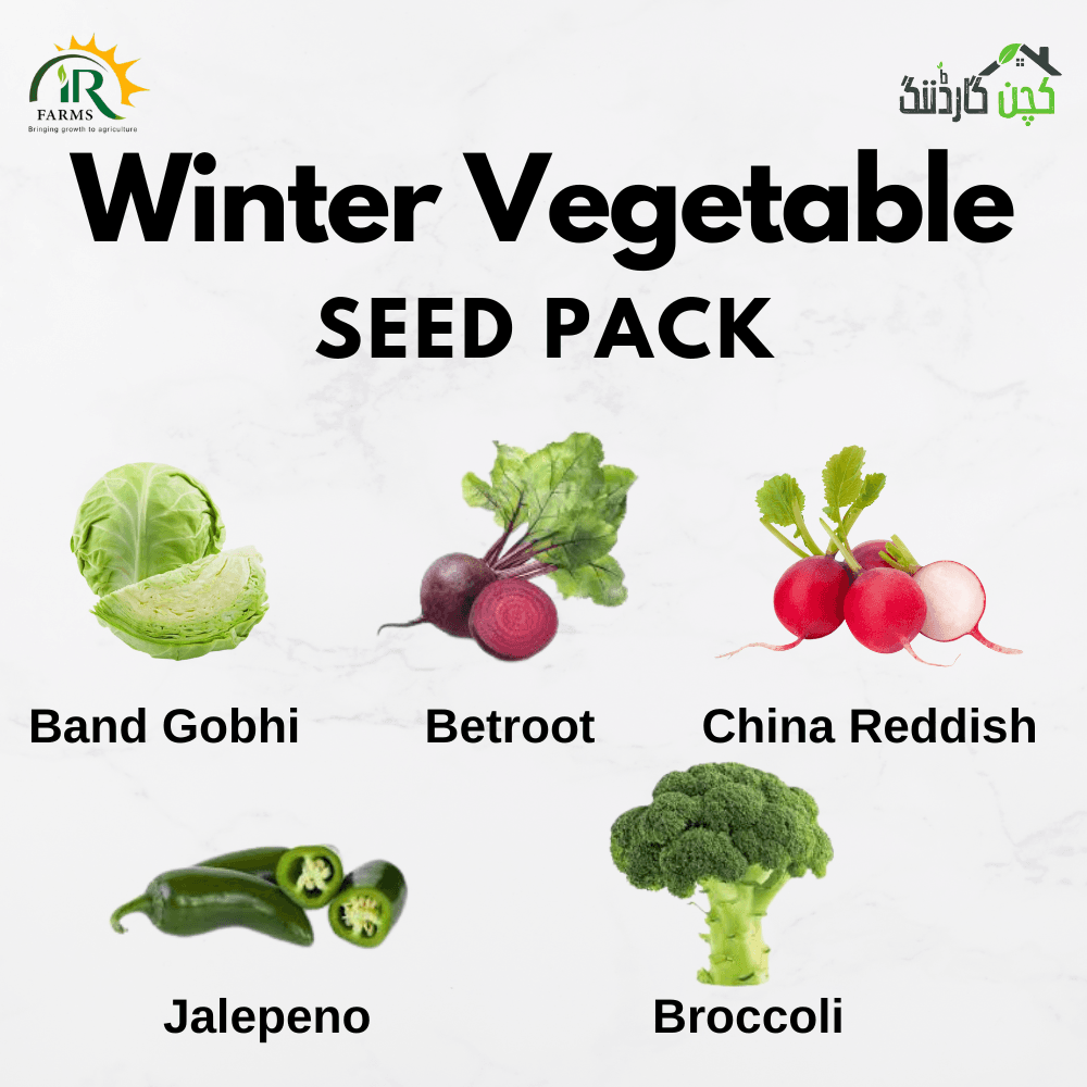 Winter Vegetable Seed Pack in Pakistan – Buy 5 Varieties Online | kitchengardening.pk (25 Seeds / 50 Seeds / 100 Seeds)