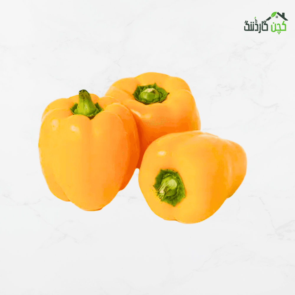 Yellow Capsicum
